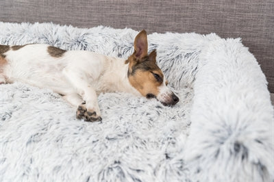 Trixie Sofa Bed Harvey Furniture Protector Angular White Black