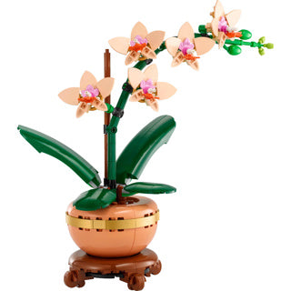 Lego botanicals miniorkidé - 10343