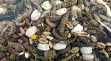 Utopia Strooivoos med insekter