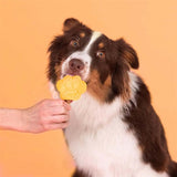 Smoofl Smoofl Ice Mix til hundemango