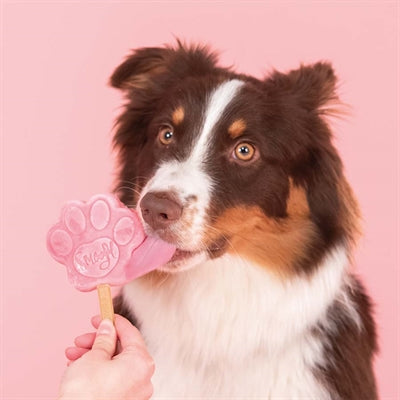 Smoofl isblanding til hunde vandmelon