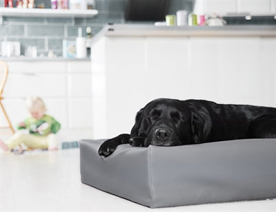 Bia seng hundekurvbetræk i kunstlæder grå
