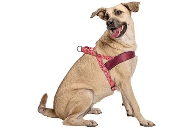 Morso norsk hundesele genbrugt pink tænk pink