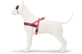 Morso norsk hundesele genbrugt pink tænk pink