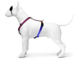 Morso hundesele h-sele genbrugt urban firben rød