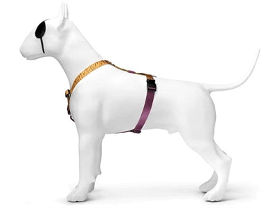 Morso hundesele h-sele genbrugt jungletromme orange