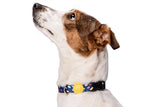 Morso dog collar recycled color invaders purple