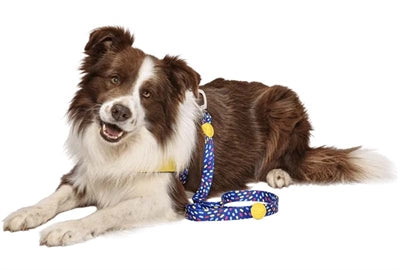 Morso hundesnor genanvendt farve invaders lilla