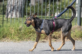Morso hundesele h-sele genbrugt power flow sort