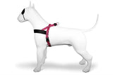 Morso norsk hundesele genbrugt boble leo pink
