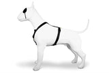 Morso hundesele h-sele genanvendt guld kaviar guld