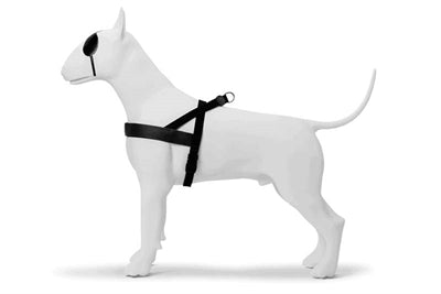Morso norsk hundesele genbrugt renhed sort