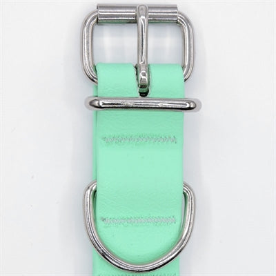 Morso hundehalsbånd vandtæt genbrugt caribisk grøn