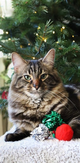 Amorkomet julestrømpe med 5 kugler