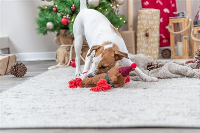 Trixie Xmas rensdyr plys reb