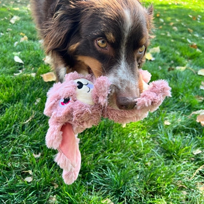 Kong Sconz Bunny Plush med bip pink