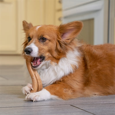 Petstages Dogwood Flip Chew