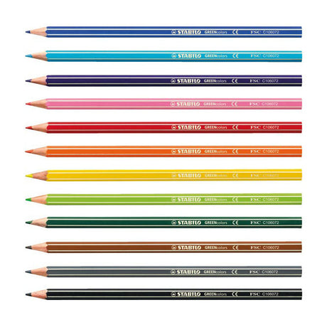 Abi stlo greencolors arty farveblyanter etui med 12 stykker
