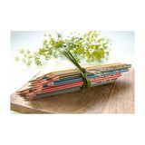 Abi stlo greencolors arty farveblyanter etui med 12 stykker