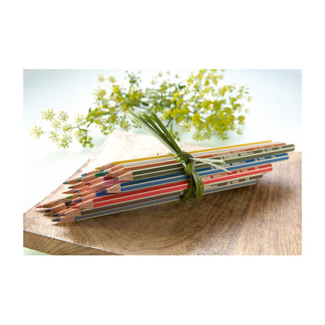 Abi stlo greencolors arty farveblyanter etui med 24 dele
