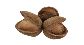 Pb. 8 pcs budha nut natural