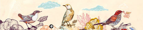 Rondo musik: birds 02 (Mozart vuggevise)