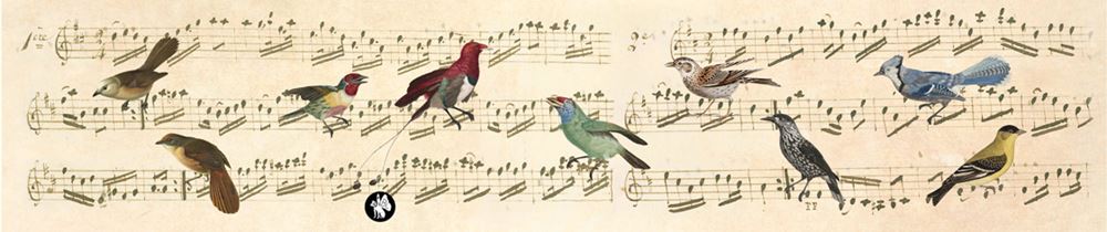 Rondo77 musik: noter (ave maria).