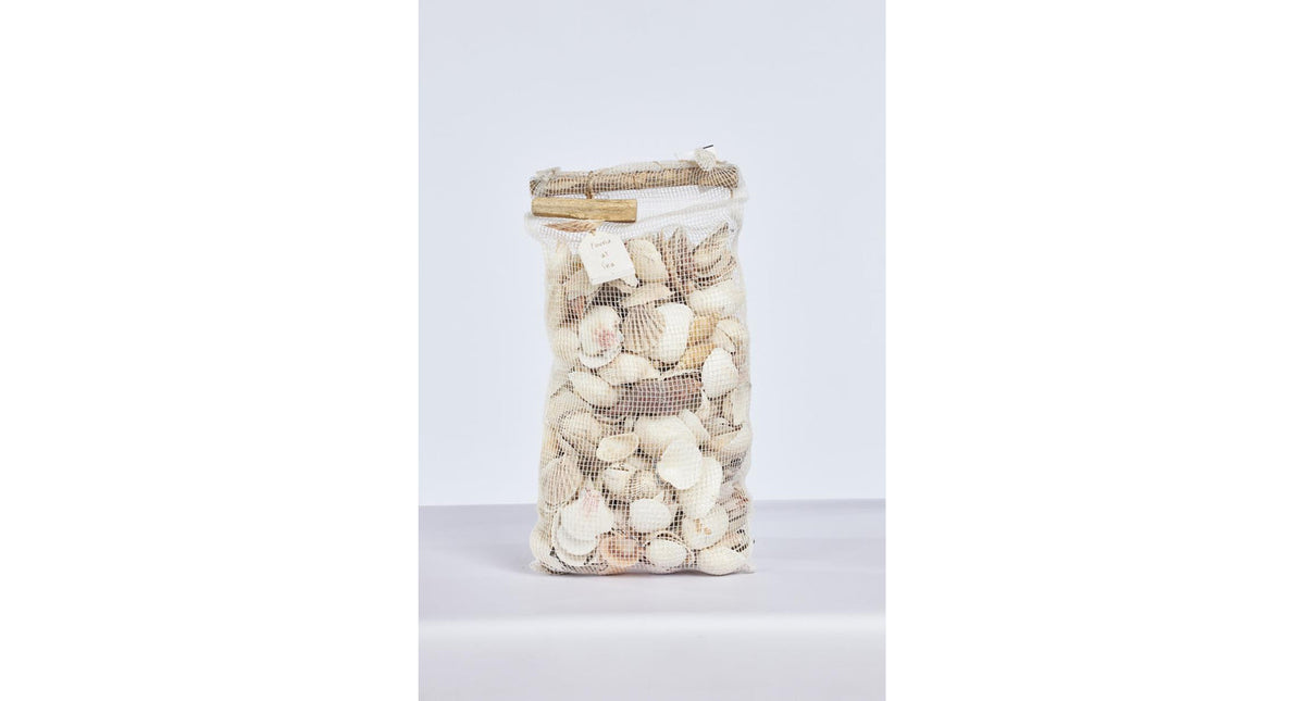 Shell in net ca. 4kg natural