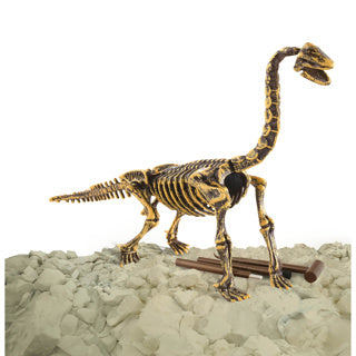 Dino base | 3 stk