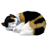 Perfekt petzzz perfekt petzzz blød calico kat