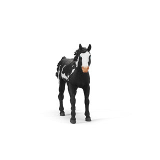 Schleich hesteklub - maling vallak - 14900