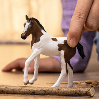 Schleich | 5 stk