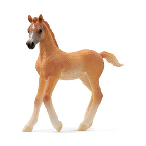 Abi schleich 13984 arsch føl | 5 stk
