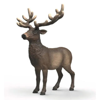 Schleich wild life amerikaans edelhert 14992