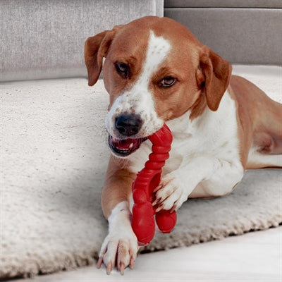 Nylabone Extreme Chew Lobster Filet Mignons smag