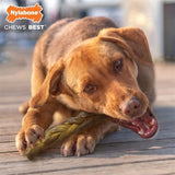 Nylabone Extreme Chew flettet Bull Stick Rund Taste