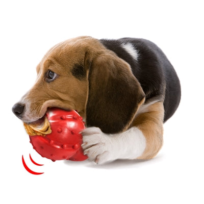 Nylabone stærk gummikegle bacons smag