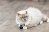Trixie Marine Animal Plush med Catnip Assorti