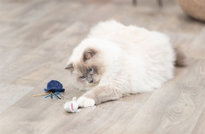 Trixie Marine Animal Plush med Catnip Assorti