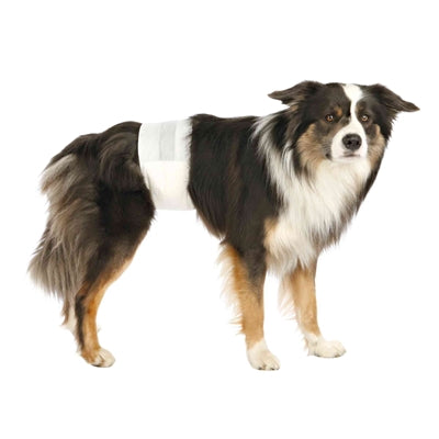 Trixie hunde bleer mand
