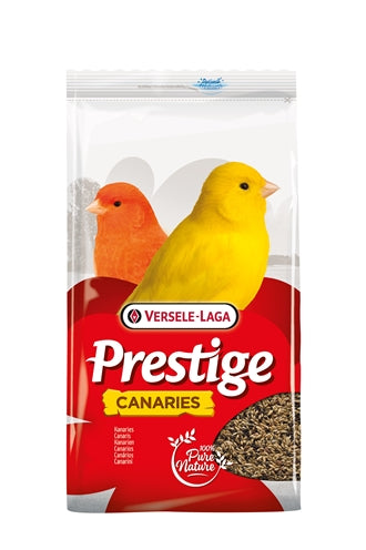Versele-Laga Prestige kanarier, der synger frø