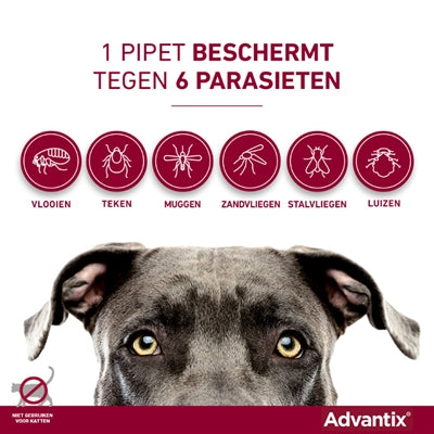 Elanco Advantix Spot på