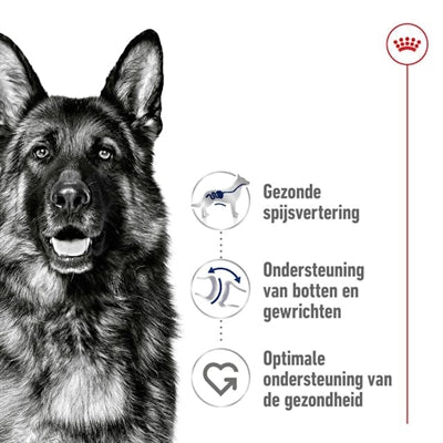 Royal Canin Maxi voksen