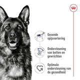 Royal Canin Maxi voksen