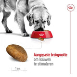Royal Canin Maxi voksen