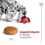 Royal Canin Medium voksen