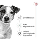 Royal Canin Mini voksen