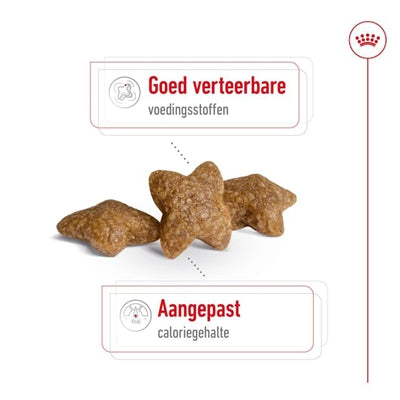Royal Canin Mini voksen