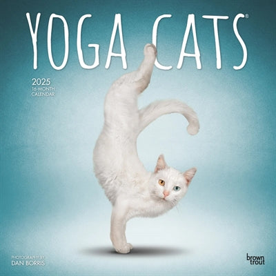 kalender yoga katte 2025