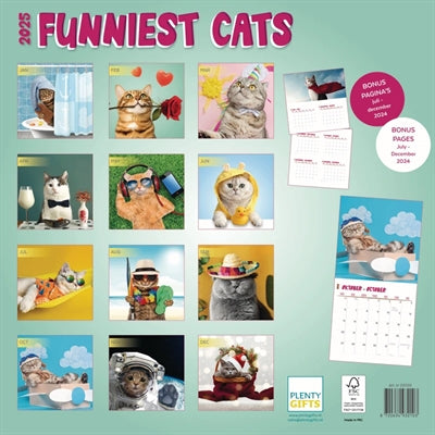 Kalender sjoveste katte 2025
